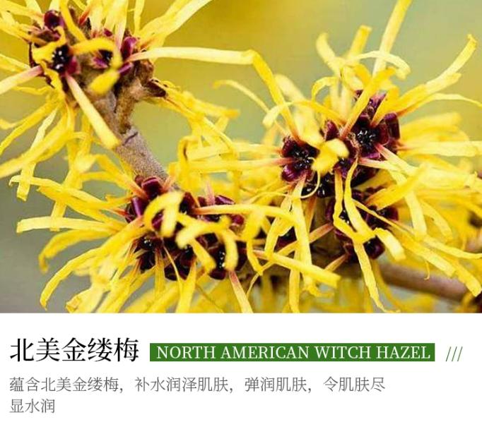 Aloe Vera Emollient Beauty Facial Mask image 7